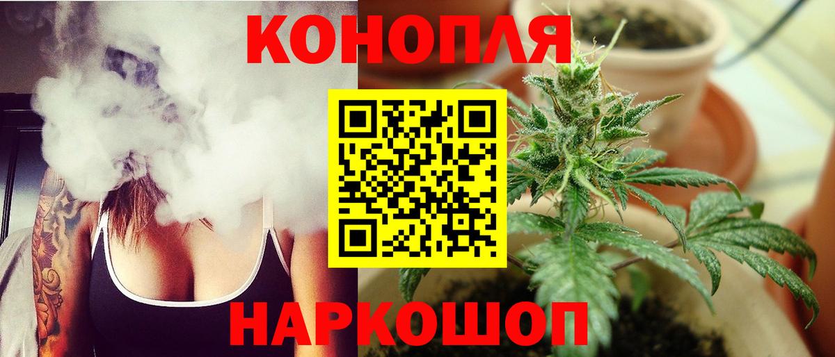 Бошки марихуана сатива Ижевск